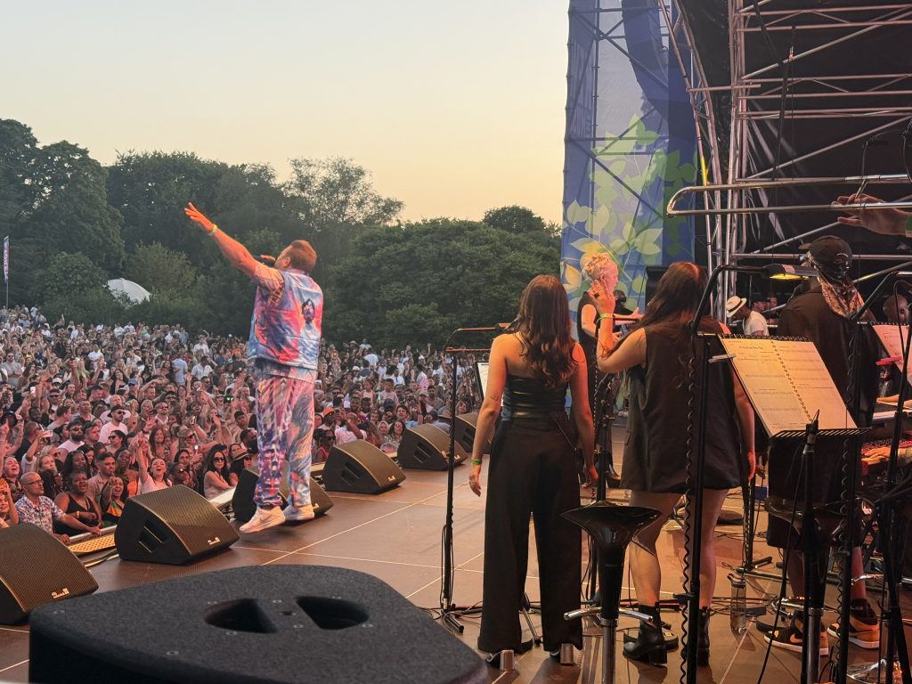 Artist on stage at a festival.